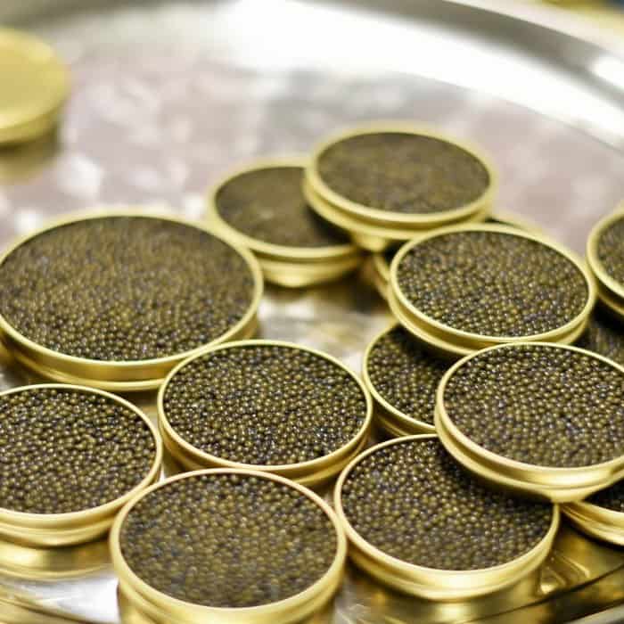 Fine Caviar Caviar